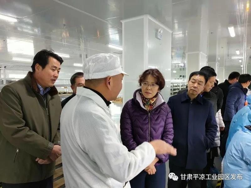 省市人大代表来开云集团官网开云集团官网首页-开云(中国)工业园区视察(图2)